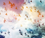 Thumbnail image for Dragons